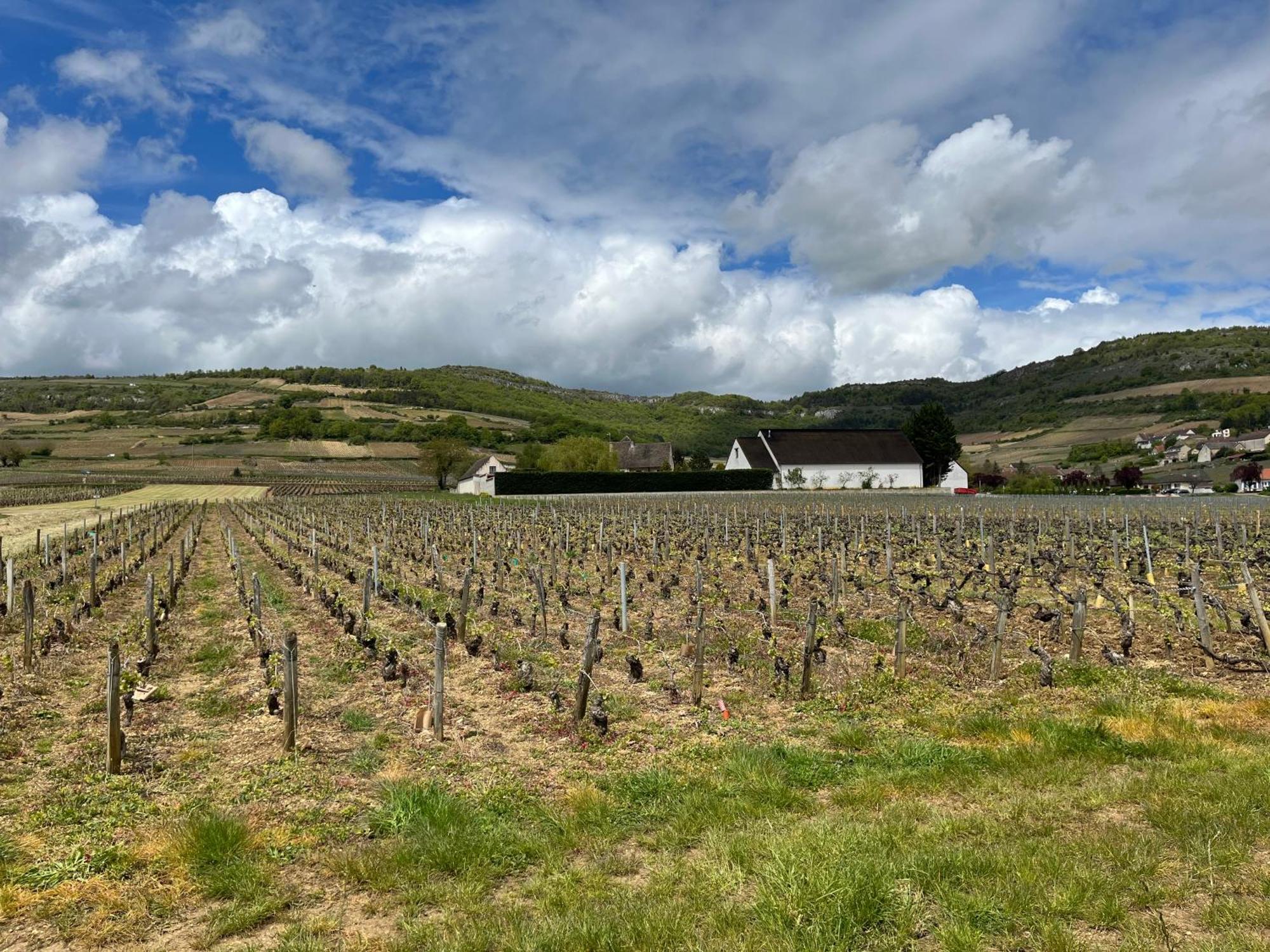 Camping De Santenay Santenay  Exterior foto